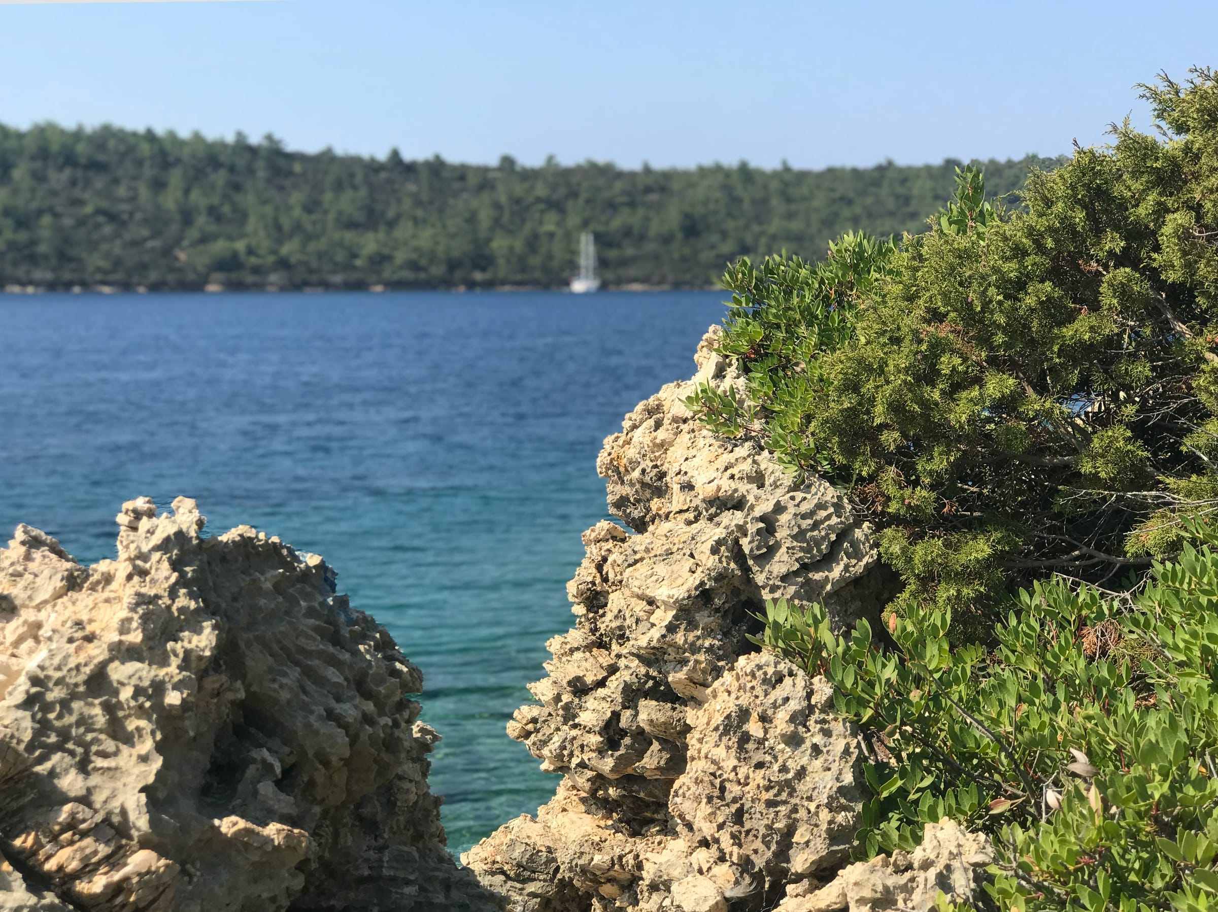 Rocky coast with a sailboat offshore